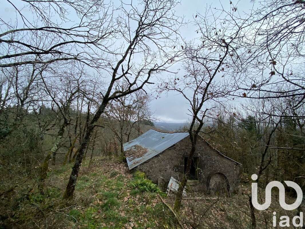 Photo 4 - Maison à MONTAGNOL