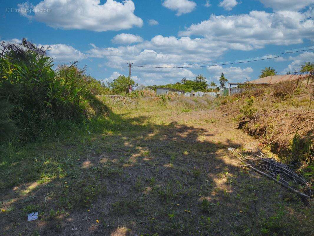 Terrain 600 m² à Petite-Ile  - photo 2