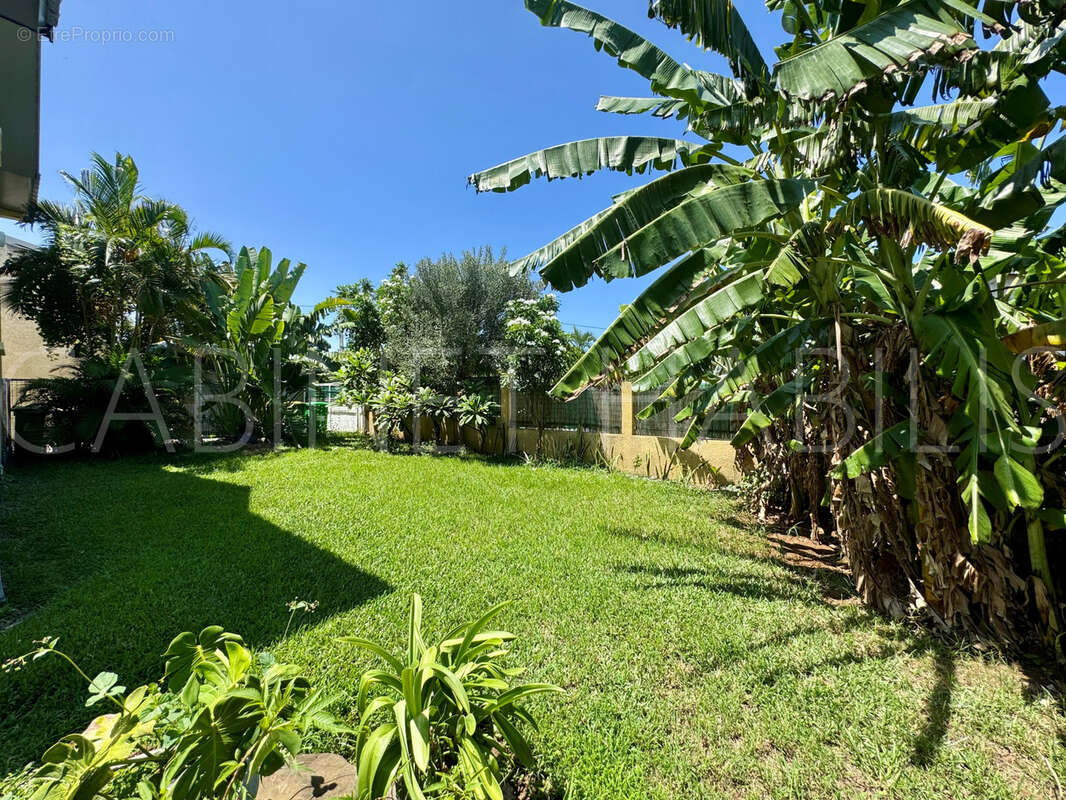 Maison à SAINT-LOUIS