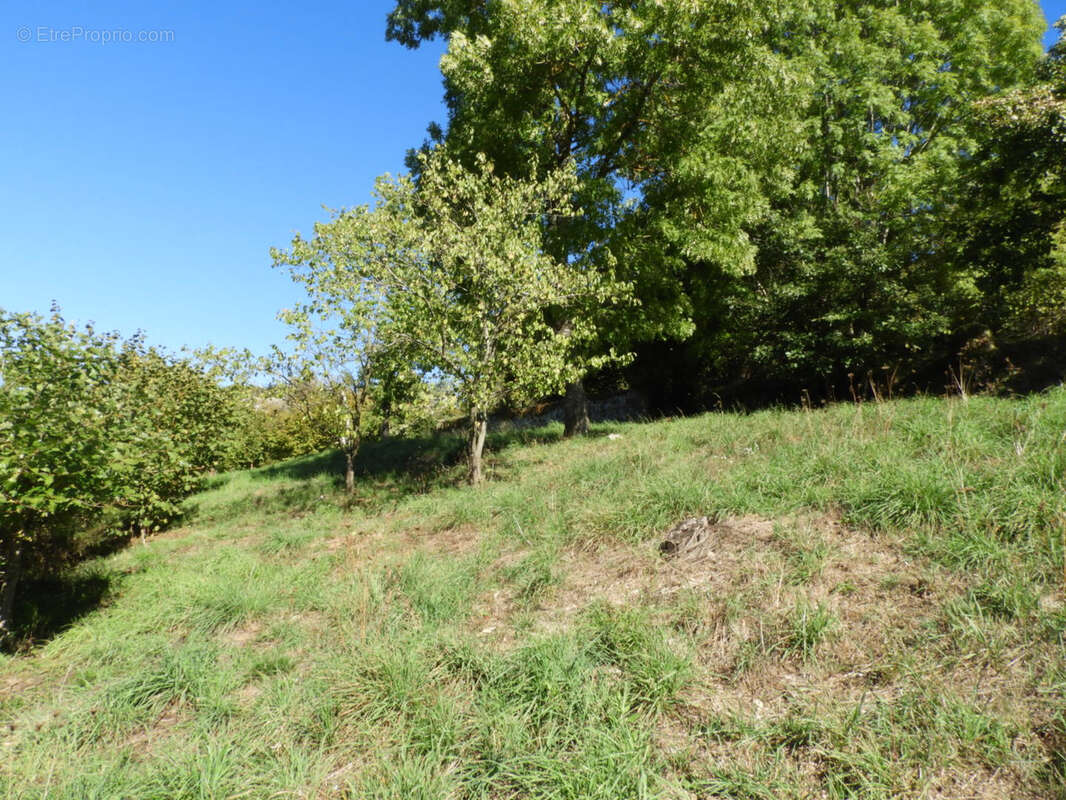 Terrain à SAINT-REMY-SUR-DUROLLE