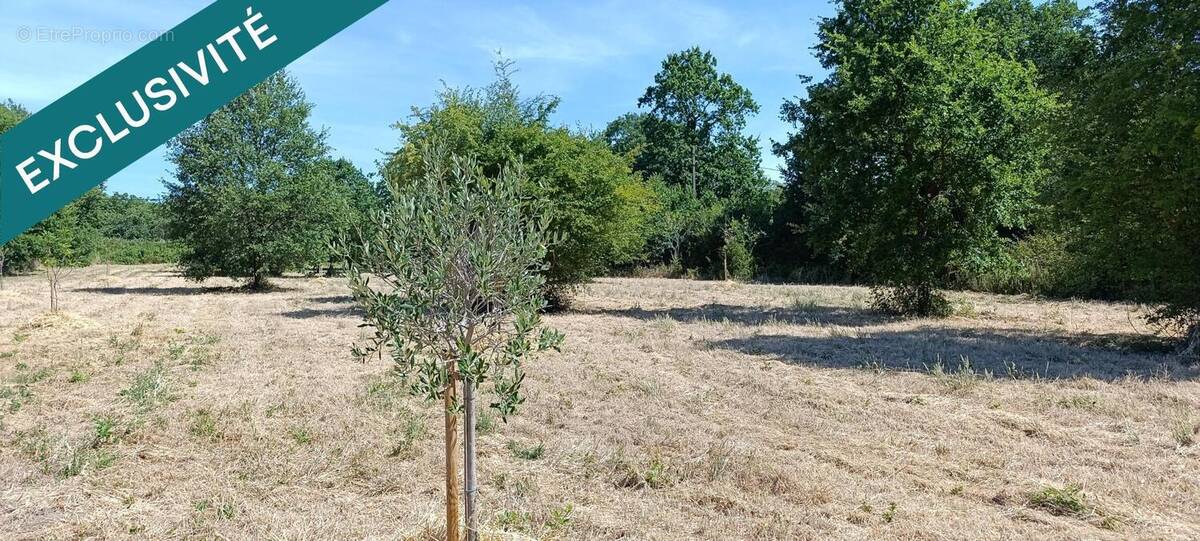 Photo 1 - Terrain à HUISMES