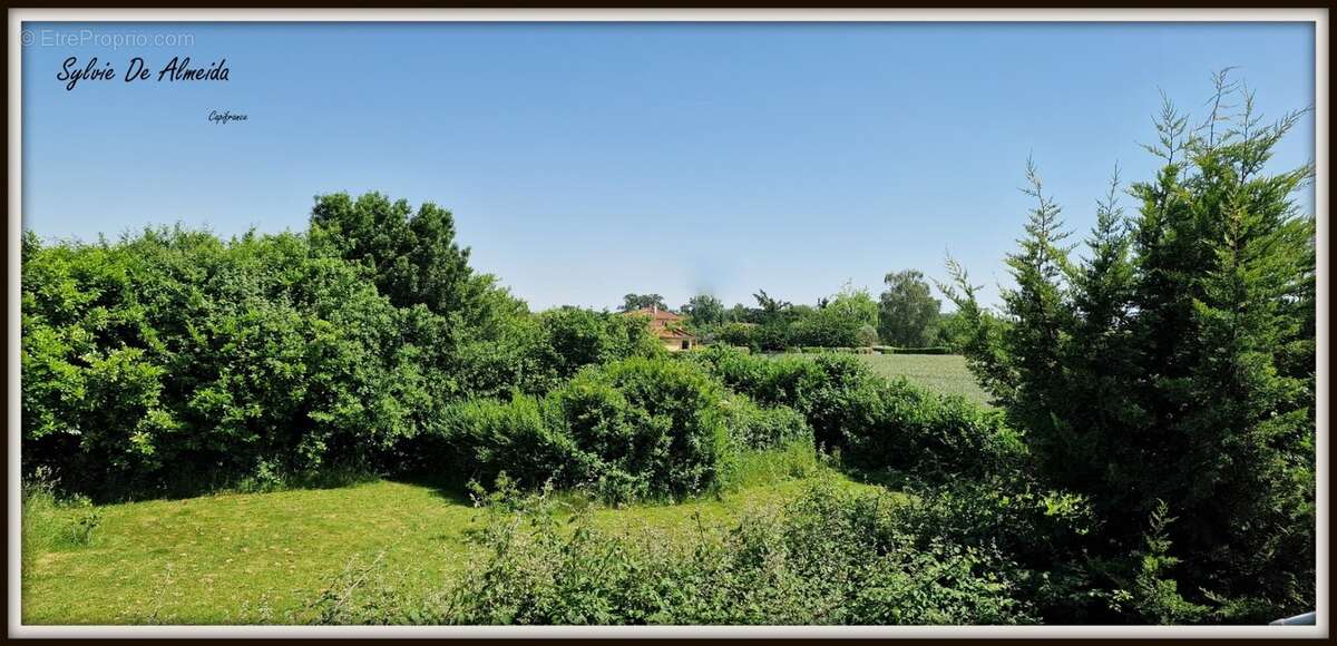 Propriete à vendre 8 pièces 285 m² REPLONGES (01), Piscine, 4 suites, double garage, terrain 2136 m² - photo 25