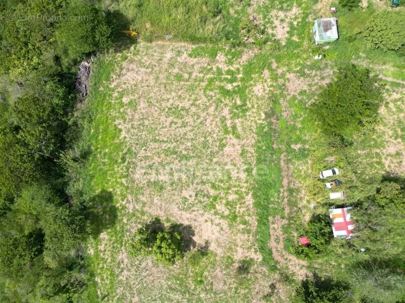 Terrain à LE CARBET