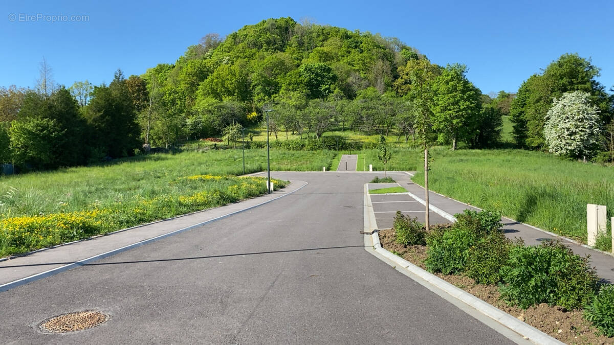 Terrain à APREMONT-LA-FORET