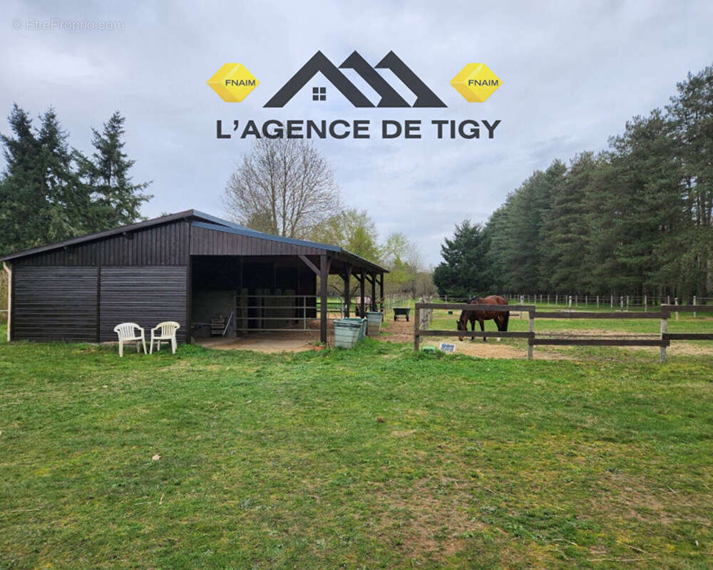 Maison à NEUVY-EN-SULLIAS