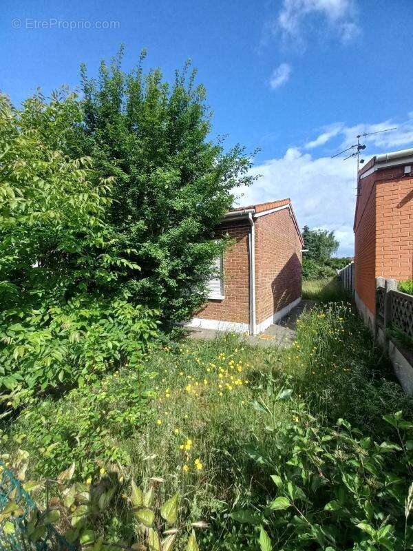 Maison à LOISON-SOUS-LENS