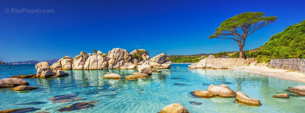 Appartement à CALVI