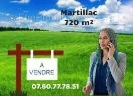 Terrain à MARTILLAC