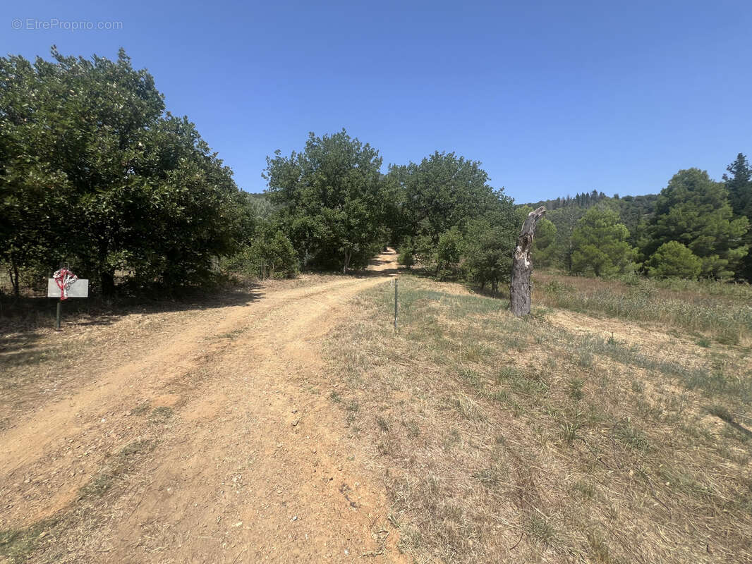 Terrain à REYNES