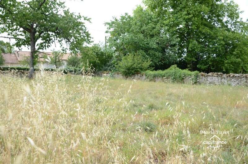 Terrain à CELLES-SUR-BELLE