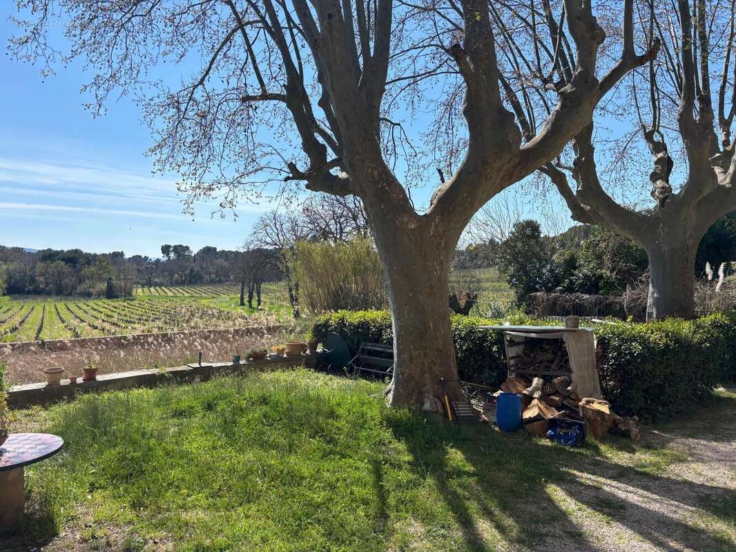 Photo 6 - Appartement à LE MUY