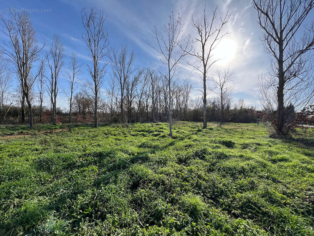 Terrain à LABASTIDETTE