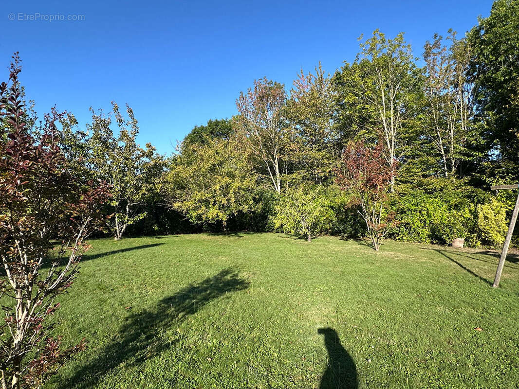 Maison à LA CELLE-LES-BORDES
