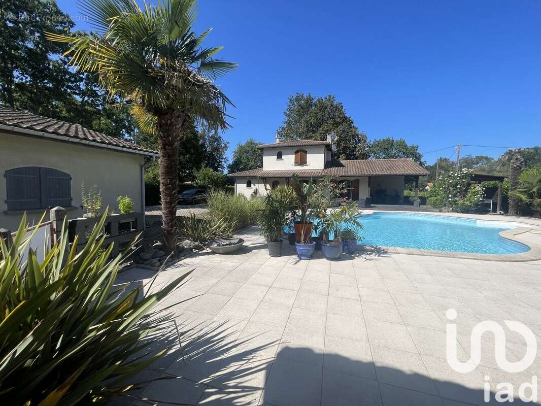 Photo 7 - Maison à AMBARES-ET-LAGRAVE