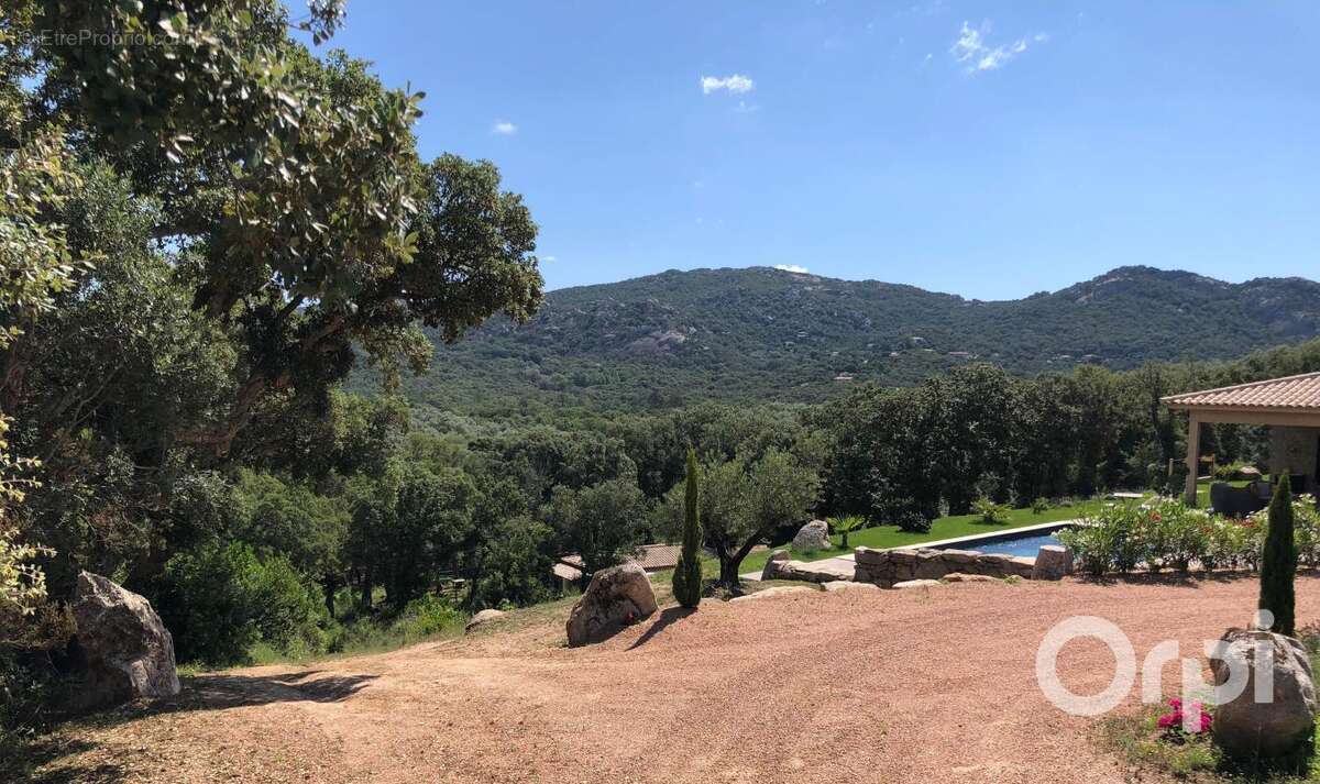 Propriété   Porto Vecchio - photo 16