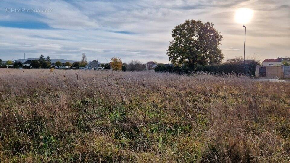 Terrain à LE MANOIR