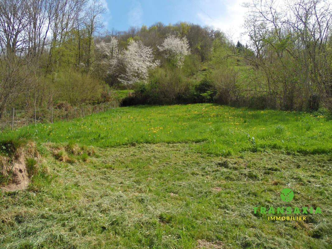 Jardin attenant - Maison à UCHENTEIN