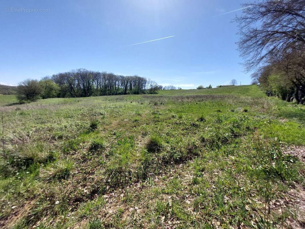 20260408154139 - Terrain à SAINT-MARTORY