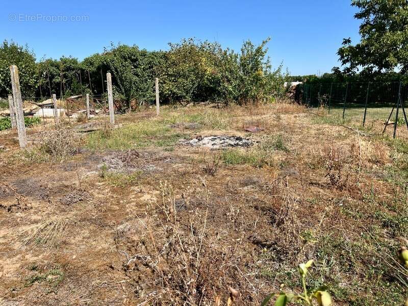 Maison 4 pièces THIRE (85) - photo 11