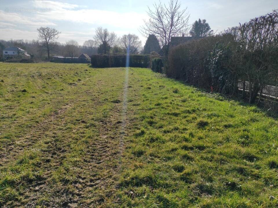 Terrain à AUBERVILLE