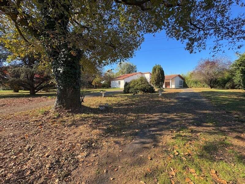 Maison à AIRE-SUR-L&#039;ADOUR