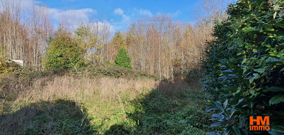 Terrain à LADIGNAC-LE-LONG