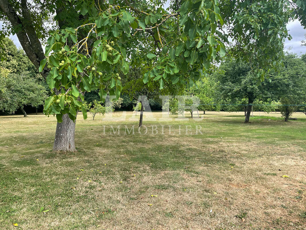 Maison à MOITRON-SUR-SARTHE