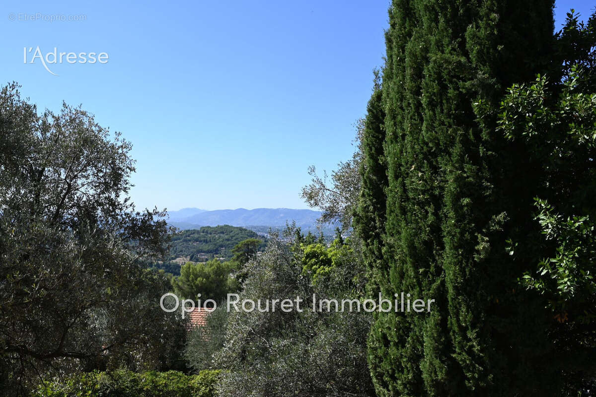 Terrain 1550 m² à Grasse  - photo 4