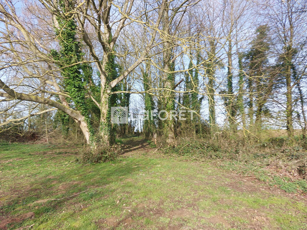 Maison à HARAVESNES