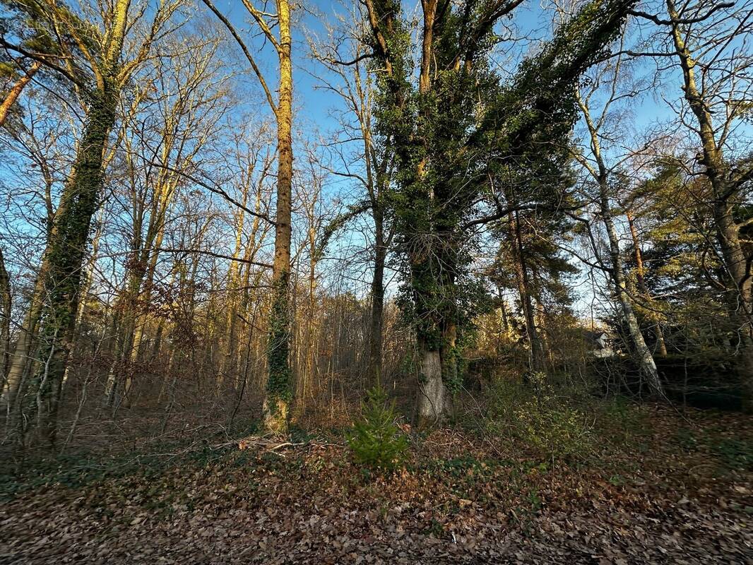 Terrain à NOISY-SUR-ECOLE
