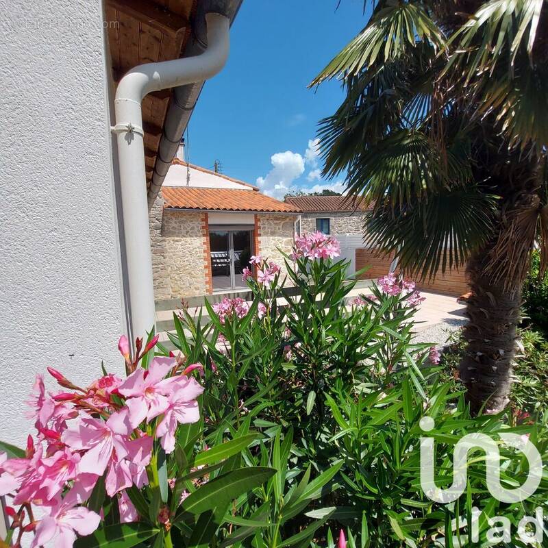 Photo 1 - Maison à MORTAGNE-SUR-SEVRE