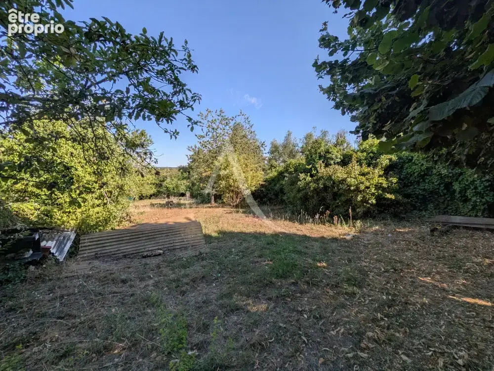 La chaussee saint victor - peripherie de blois. - photo 12
