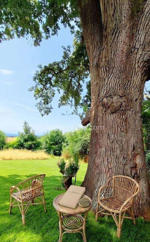 Un Domaine sur la Colline - photo 38