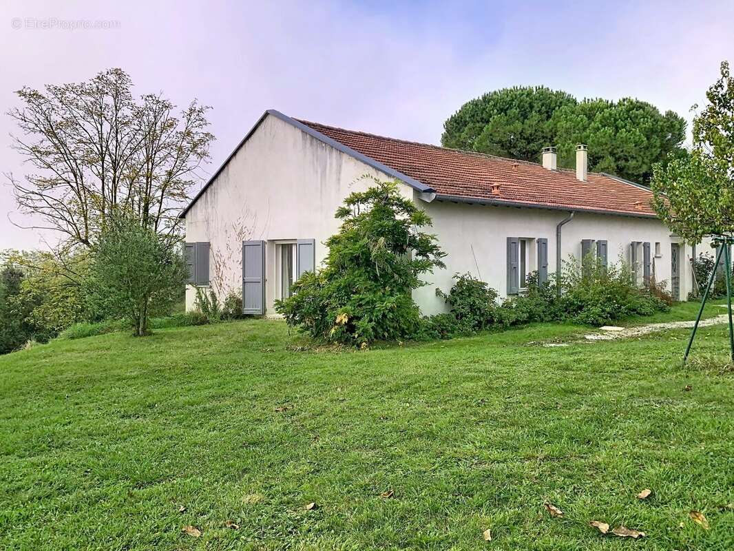 Maison à LISLE-SUR-TARN