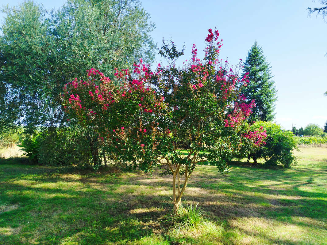 Maison à SOUSSAC