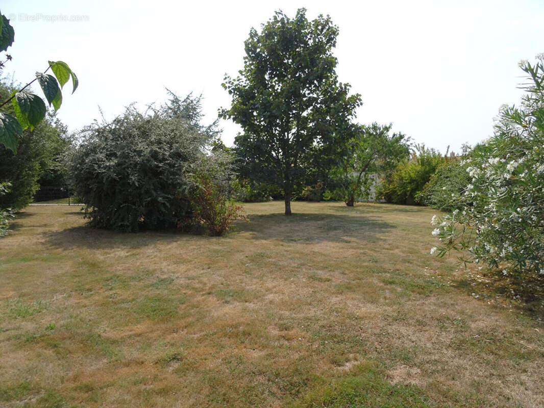 Maison à SAINTE-FOY