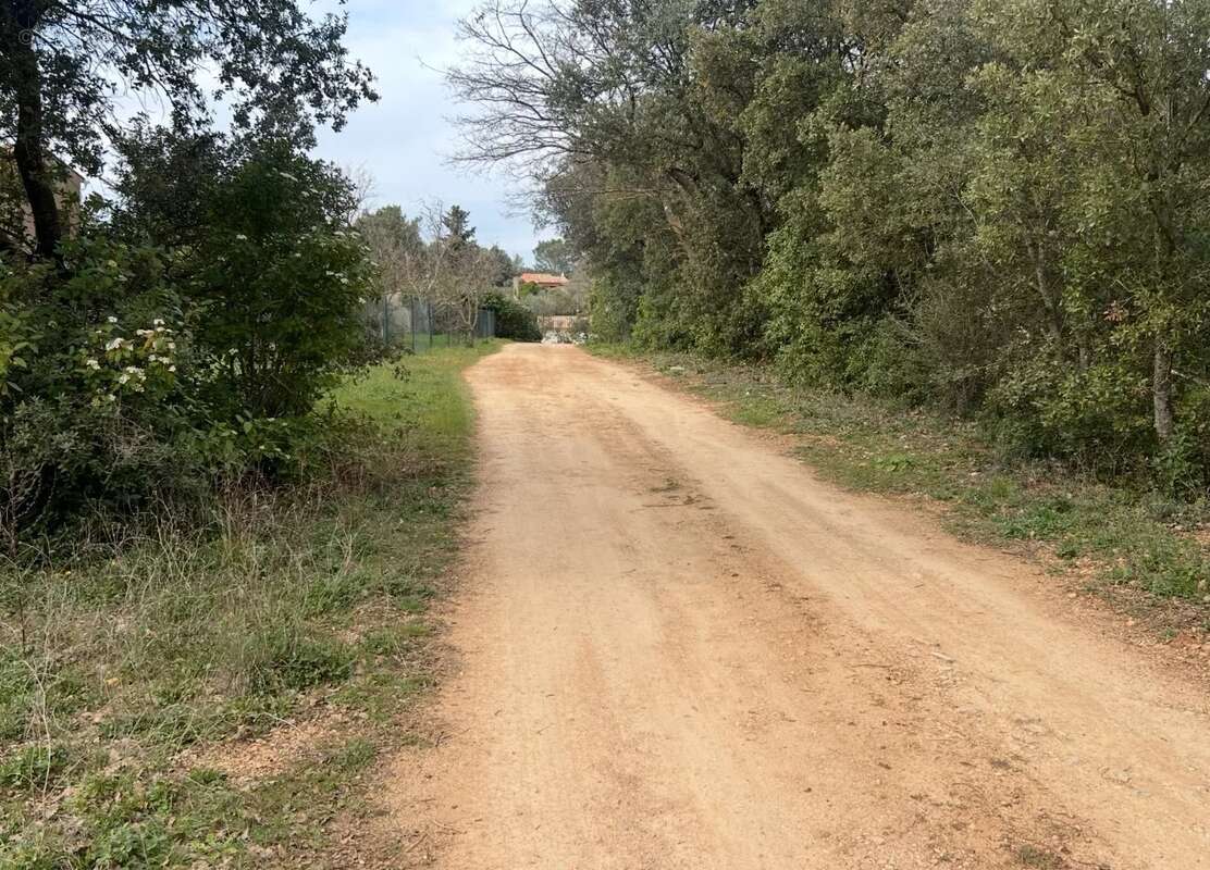 Terrain à SAINT-MAXIMIN-LA-SAINTE-BAUME