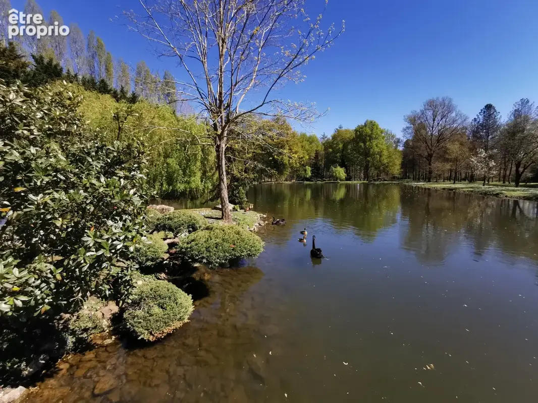 Propriete en sologne avec etang - photo 18