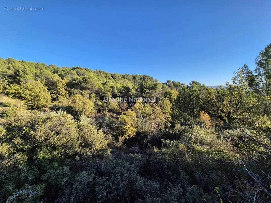 Terrain à MALEMORT-DU-COMTAT