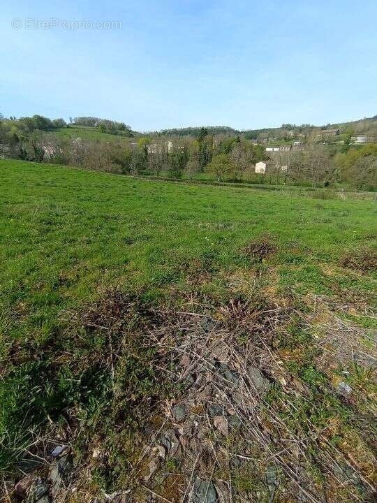 Terrain à FERRIERES-SUR-SICHON