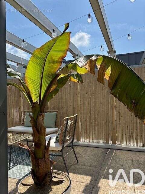 Photo 4 - Appartement à OLIVET