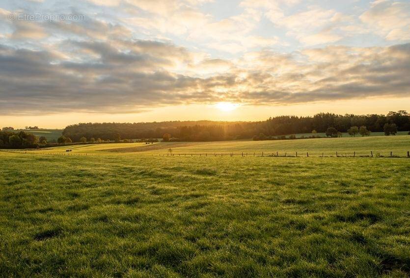 Terrain à LA CROIX-EN-TOURAINE