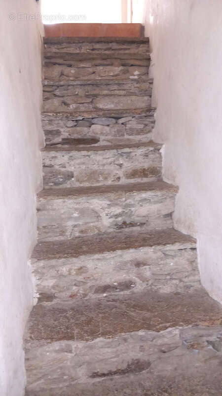 Maison à SAINT-GERVAIS-SUR-MARE