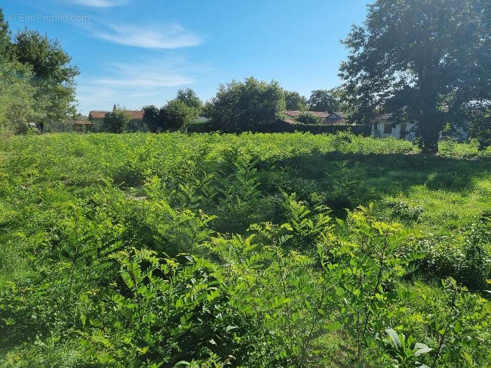 Terrain à SAINT-AUBIN-DE-MEDOC