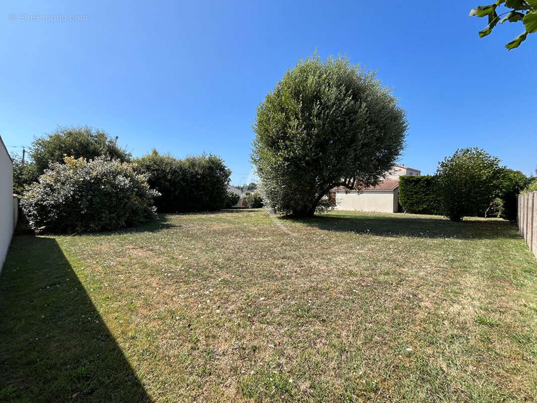 Terrain à batir à saint hilaire de riez - terre fort - 564 m² - photo 3