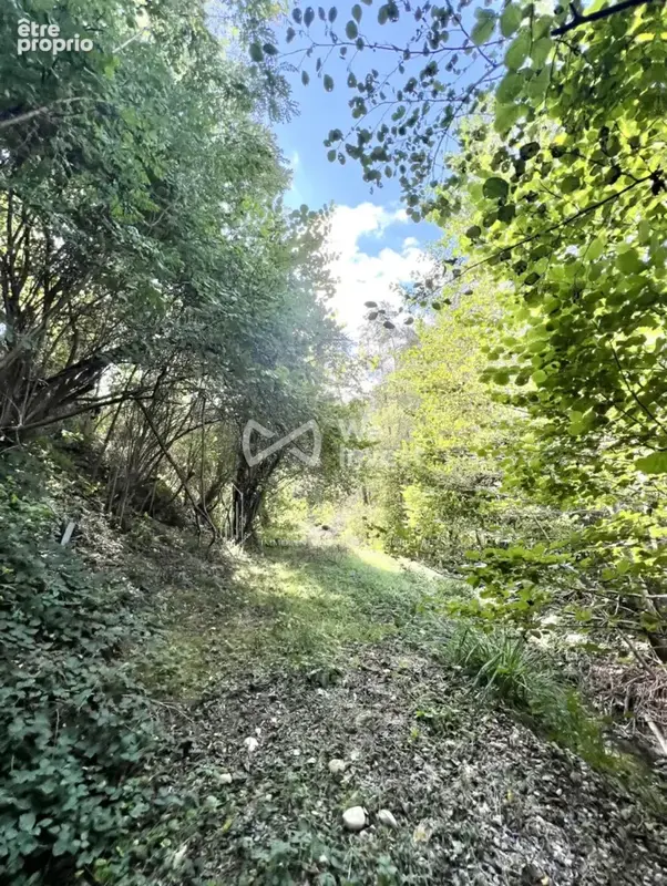 Terrain 2 990 m² à vendre à Vienne (38200) - photo 3