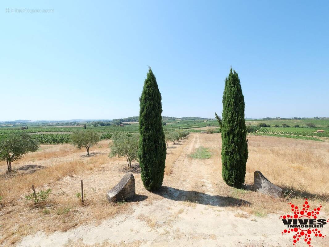 Terrain à CAZOULS-LES-BEZIERS