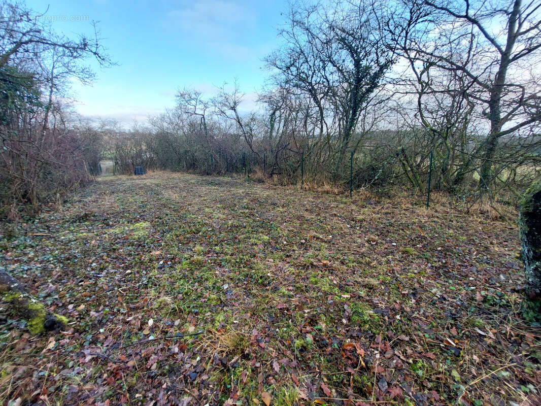 Terrain à SAINT-NICOLAS-DE-PORT