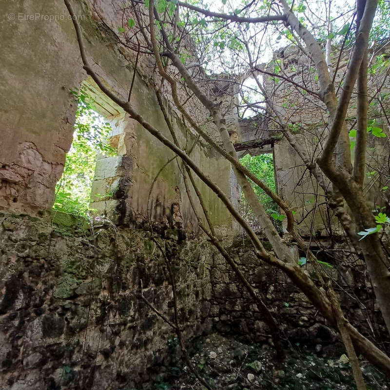 Ancienne Maison de Maître terre et bois 6 Ha - photo 19
