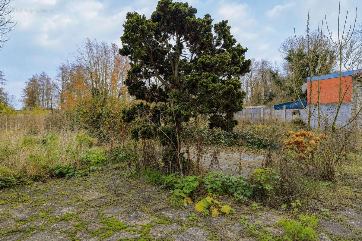 Vente : Maison authentique à Agnez-lès-Duisans - photo 13